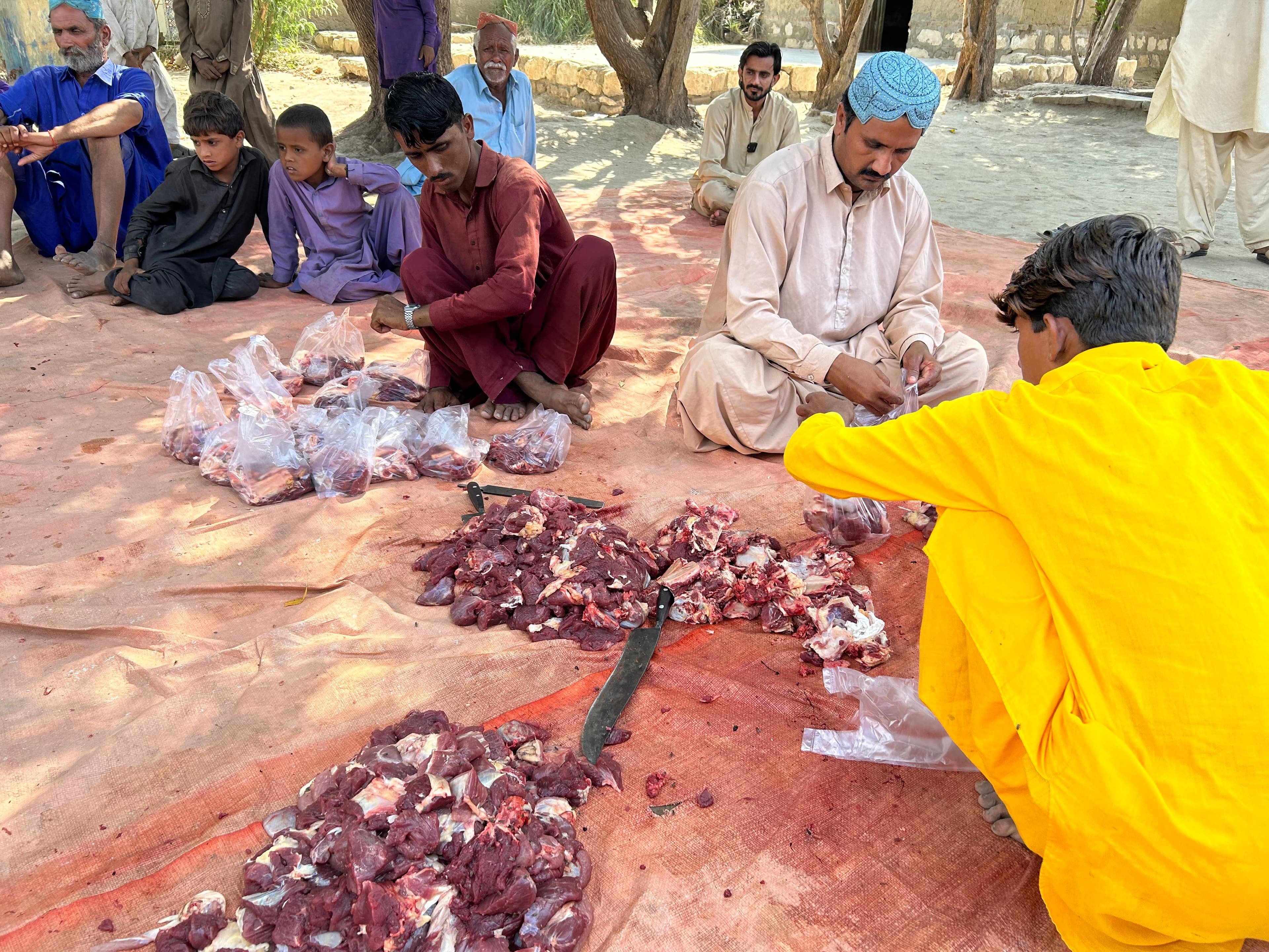 Sharing Blessings, Spreading Joy